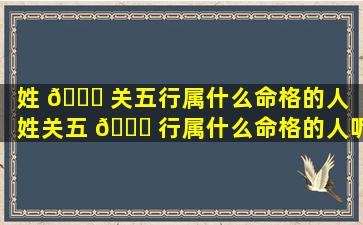 姓 🕊 关五行属什么命格的人「姓关五 🕊 行属什么命格的人呢」